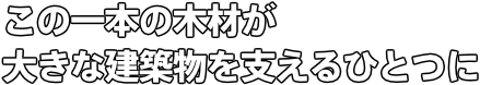 この一本の木材が 大きな建築物を支えるひとつに