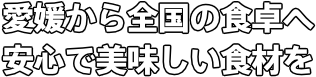 愛媛から全国の食卓へ 安心で美味しい食材を