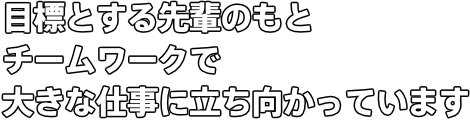 目標とする先輩のもと　チームワークで 大きな仕事に立ち向かっています